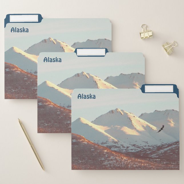Winter Eagle File Folder (Set)