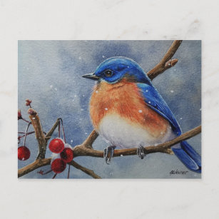 Winter Eastern Bluebird & Berries Watercolor Art Postcard