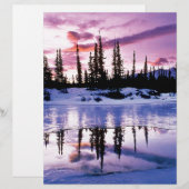 Winter Evening Freeze (Front/Back)