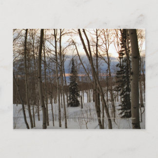 Winter Evening Postcard