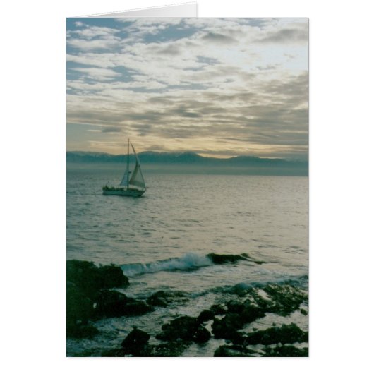 Winter Evening Sail on the Pacific Coast Cards (Front)