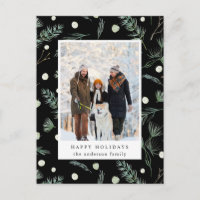 Winter Evergreen Foliage Photo Black Holiday