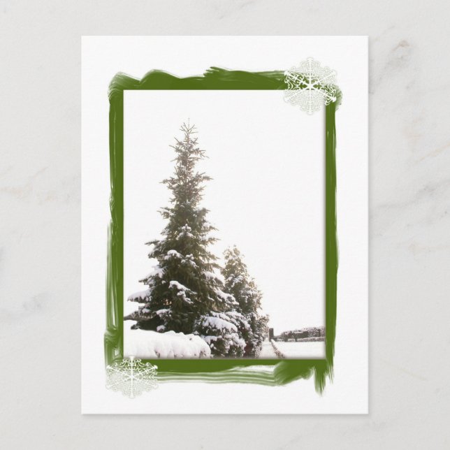 Winter Evergreens-DIY Postcard (Front)