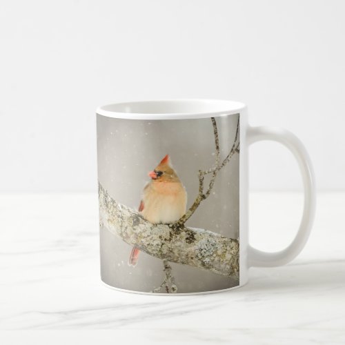 Winter Female Cardinal Bird Coffee Mug