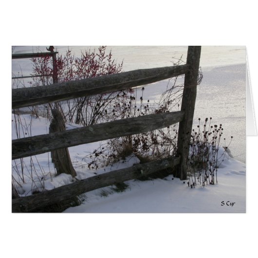 Winter Fence, S Cyr Cards (Front Horizontal)