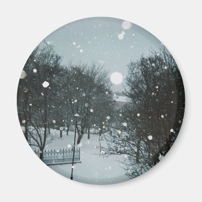 Winter Flakes Magnet (Front)