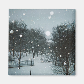 Winter Flakes Magnet