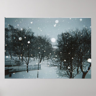 Winter Flakes Poster