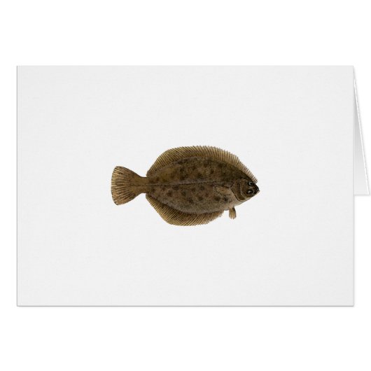 Winter Flounder - Blackback Cards (Front Horizontal)
