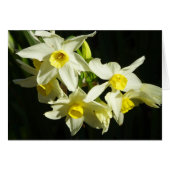 Winter Flowers (Front Horizontal)