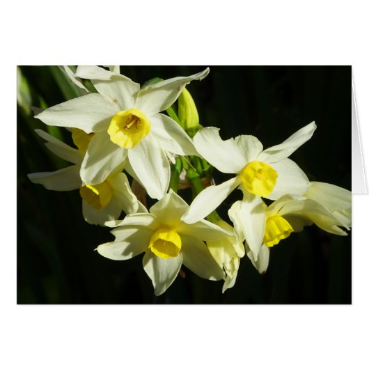 Winter Flowers Cards (Front Horizontal)