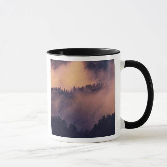 Winter fog in valley at sunset from Morton Mug (Right)