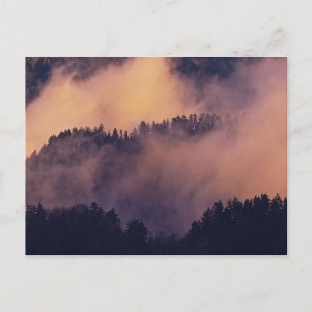 Winter fog in valley at sunset from Morton Postcard (Front)