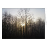 Winter Fog Sunrise Nature Photography