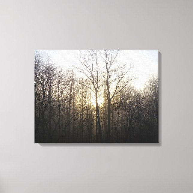 Winter Fog Sunrise Nature Photography Canvas Print (Front)