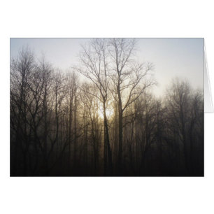 Winter Fog Sunrise Nature Photography Cards
