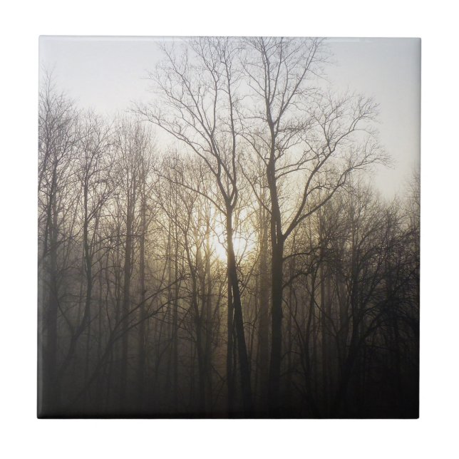 Winter Fog Sunrise Nature Photography Ceramic Tile (Front)