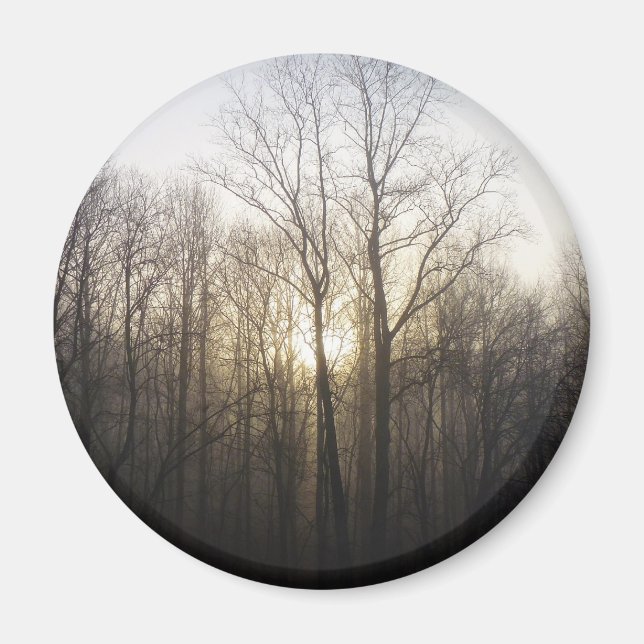 Winter Fog Sunrise Nature Photography Magnet (Front)