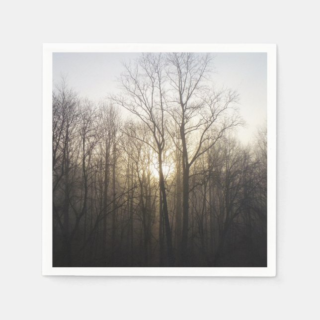 Winter Fog Sunrise Nature Photography Napkins (Front)