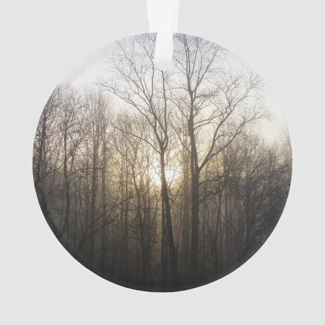 Winter Fog Sunrise Nature Photography Ornament (Back)