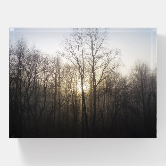 Winter Fog Sunrise Nature Photography Paperweight (Front)