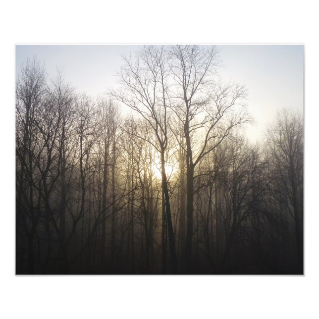 Winter Fog Sunrise Nature Photography Photo Print (Front)
