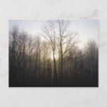 Winter Fog Sunrise Nature Photography Postcard