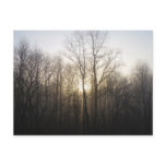 Winter Fog Sunrise Nature Photography Postcard