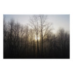 Winter Fog Sunrise Nature Photography Poster