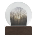 Winter Fog Sunrise Nature Photography Snow Globe