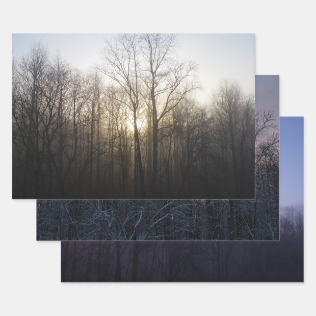 Winter Fog Sunrise Nature Photography Wrapping Paper Sheets (Set)