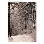 Winter Forest (5.0) (Front)