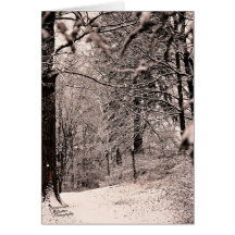 Winter Forest (5.0)