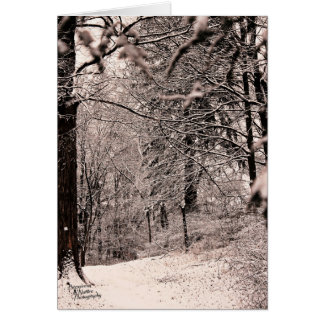 Winter Forest (5.0) Cards