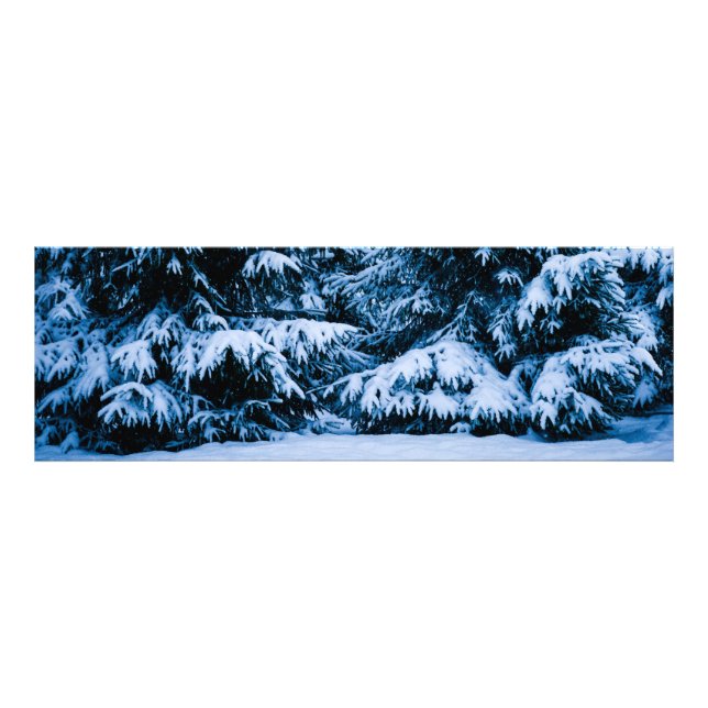 Winter Forest Christmas Tree Photo Print (Front)