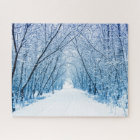 Winter Forest Path