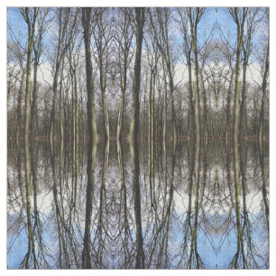 Winter forest photo fabric