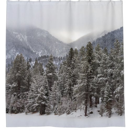 Winter Forest Scene Shower Curtain