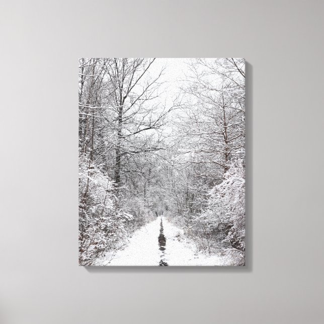 Winter Forest Snowy Trail Canvas Print (Front)