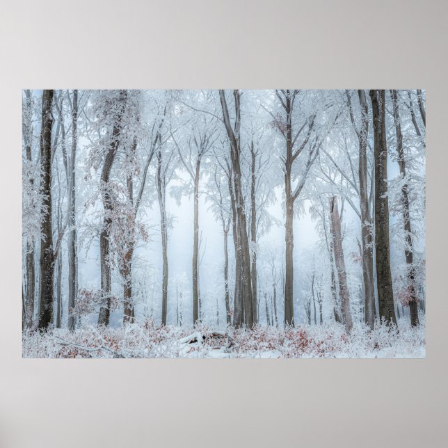 Winter forest trees #21 poster (Front)