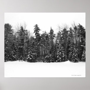 Winter forest trees covered in falling snow poster