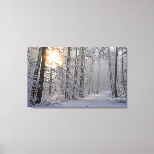 winter forest wrapped canvas print (Front)