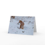 Winter Fox Card