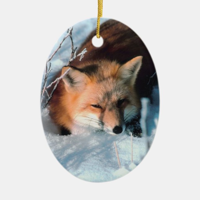 Winter Fox Wildlife Photo Christmas Ornament (Front)