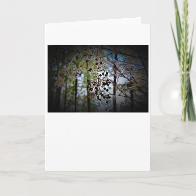 Winter Freeze, card (Front)