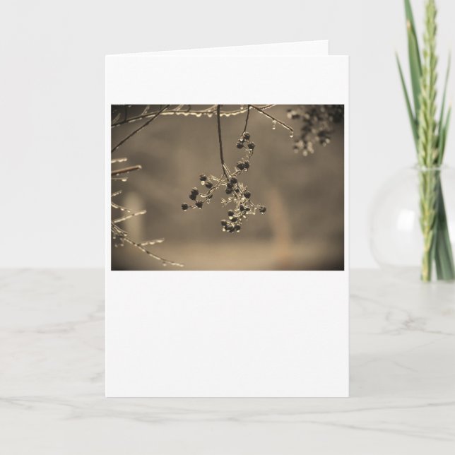 Winter Freeze, card (Front)