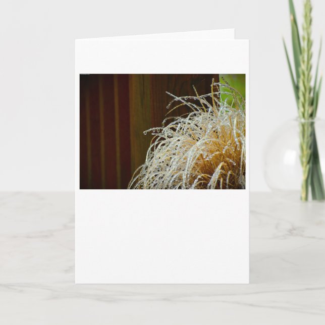 Winter Freeze, card (Front)