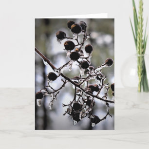 Winter Freeze, card