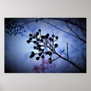 Winter Freeze, Poster