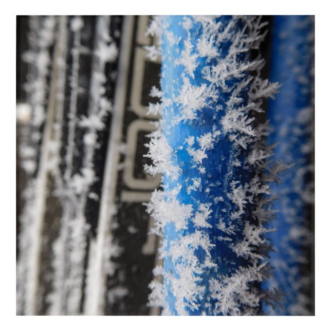 Winter Frost Acrylic Art Print (Front)